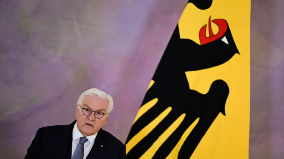 Steinmeier will mit "Ehrentag" gesellschaftliches Miteinander st&auml;rken