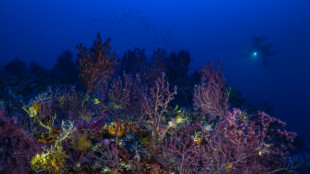 33 Staaten fordern "zumindest vorsorgliche Pause" für Tiefsee-Bergbau 