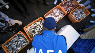 L'AIEA inspecte des poissons sur un march&eacute; de Fukushima