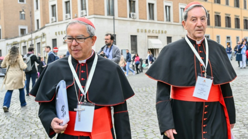 Los cardenales deciden la fecha del c&oacute;nclave para elegir al sucesor de Francisco