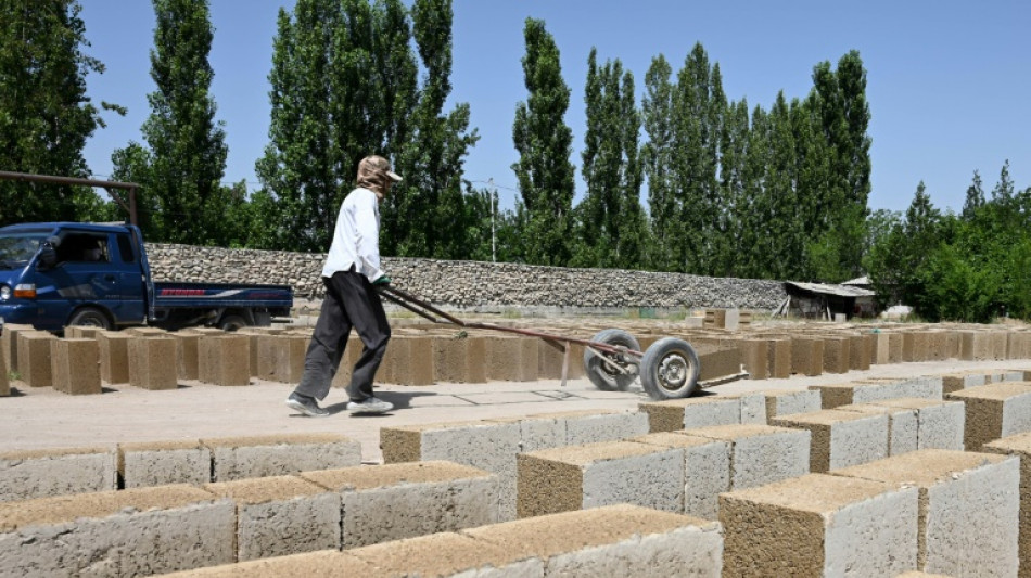 Kirguistán impulsa la construcción de casas de arroz, una alternativa ecológica al hormigón