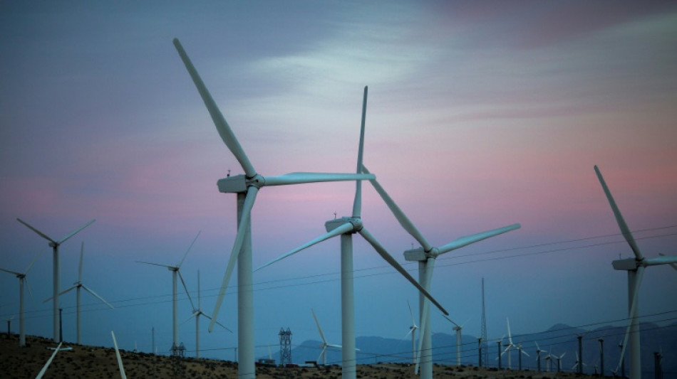 La producci&oacute;n de energ&iacute;a renovable creci&oacute; un 9% en el mundo en 2021