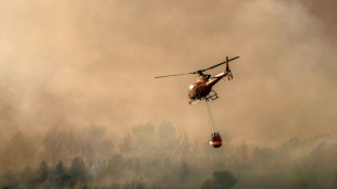 Les incendies dans le Sud marquent le pas, Nu&ntilde;ez attendu dans l'Aude