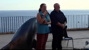 Capri, sar&agrave; intitolato a Peppino di Capri il belvedere di Tragara