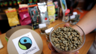 Umsatz mit Fairtrade-Produkten auf Rekordhoch - auch Verk&auml;ufe gewachsen