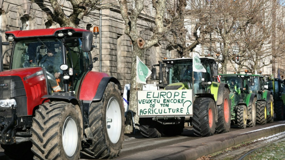 Thousands of farmers protest EU, Mercosur trade deal ahead of vote