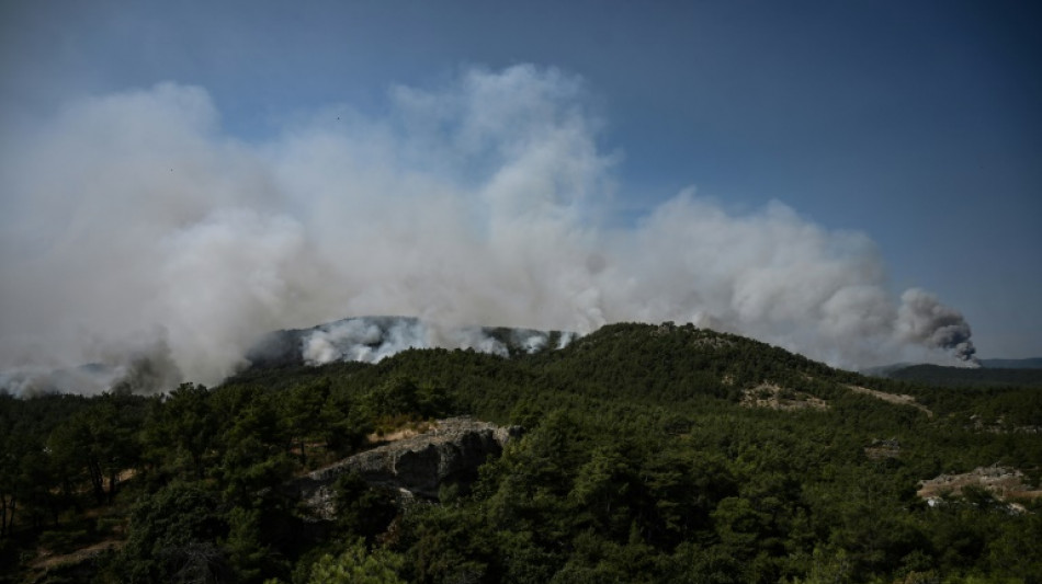 La Gr&egrave;ce frapp&eacute;e par "le plus grand incendie jamais enregistr&eacute; dans l'UE"