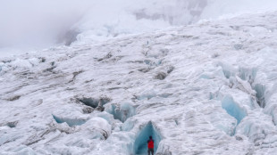 La acción climática podría salvar la mitad de los glaciares en riesgo, según un estudio