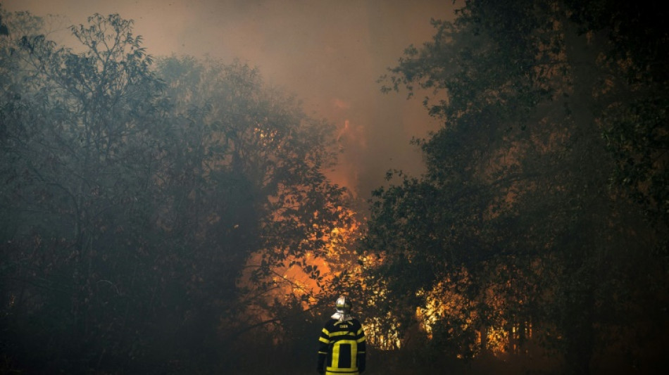 Incendie en Gironde: progression ralentie pendant la nuit, 3.500 hectares br&ucirc;l&eacute;s