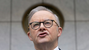 'Skibidi' and 'tradwife': social media words added to Cambridge dictionary