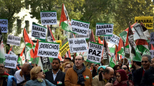 Argelia suspende tratado de cooperaci&oacute;n con Espa&ntilde;a por cuesti&oacute;n del S&aacute;hara 