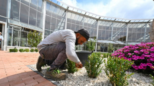 Papst er&ouml;ffnet von Vorg&auml;nger Franziskus gewollten landwirtschaftlichen Musterbetrieb