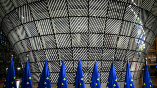 L'Union européenne se divise sur son objectif climatique avant la COP