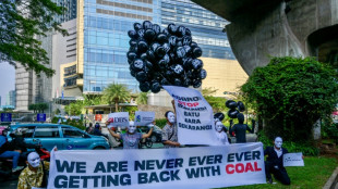 M&aacute;s de 700.000 hect&aacute;reas de bosques destruidos por la actividad minera en Indonesia