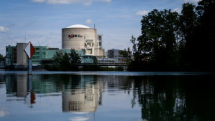 Swiss nuclear plant fully back online after heatwaves