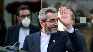 Ir&aacute;n dice que espera "decisiones pol&iacute;ticas" de occidente sobre el di&aacute;logo nuclear