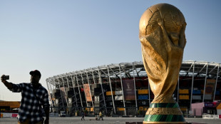 Arabia Saudita, &uacute;nica candidata a albergar el Mundial de 2034