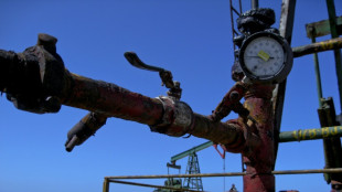 Cuba y Sherrit de Canad&aacute;, van por m&aacute;s n&iacute;quel y electricidad