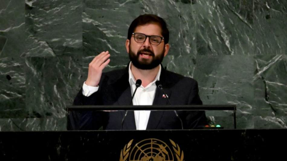 Boric insta en la ONU a enfrentar problemas con "m&aacute;s democracia"