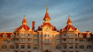 French police probe fake Disneyland 'marriage' with nine-year-old