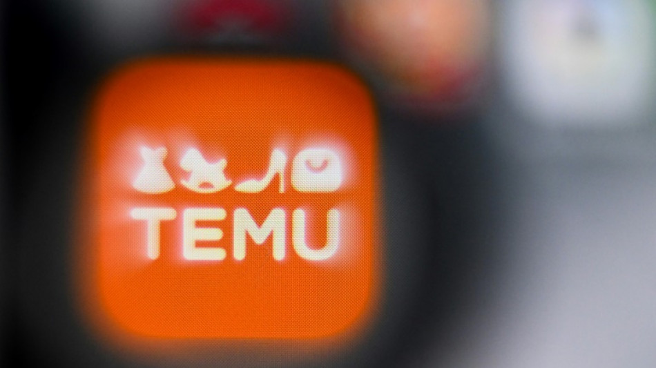 Handelsverband fordert Z&ouml;lle gegen chinesische Billigh&auml;ndler Temu und Shein