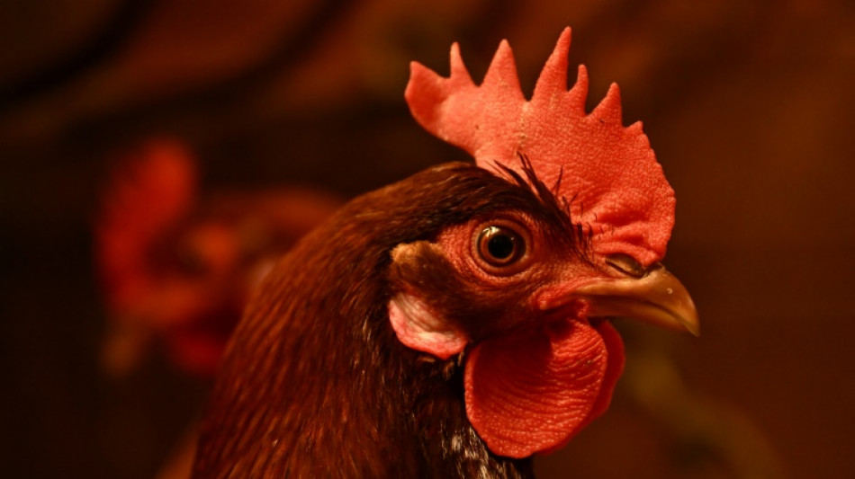 Infla&ccedil;&atilde;o dos EUA desacelerou para 2,3% em abril