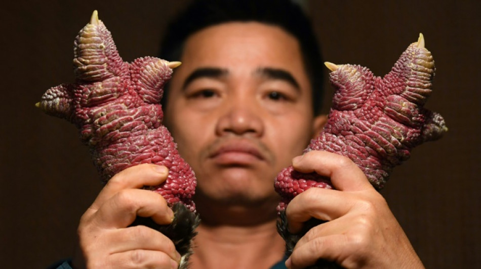 Patas de "pollo drag&oacute;n", un plato muy apreciado para el a&ntilde;o nuevo lunar en Vietnam