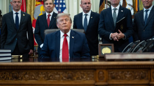 Trump, 'accordi commerciali con Paesi Golfo al posto della tassa del 20%'
