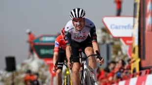 Almeida wins Vuelta 'queen stage' amid Palestinian protests