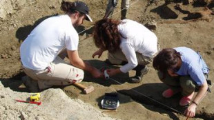 Pterosauri, antiche orme svelano la conquista della terraferma