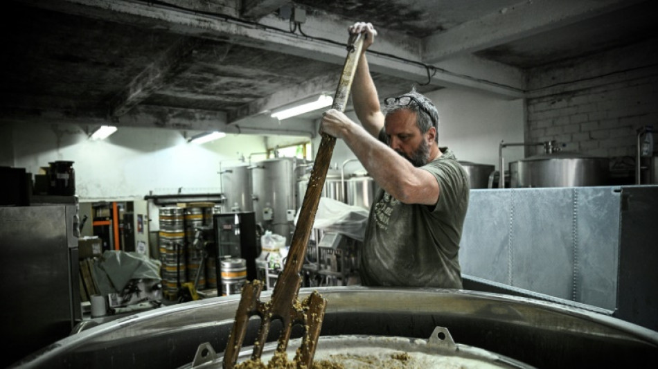 Face &agrave; la crise, la brasserie artisanale s'accroche