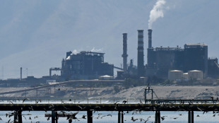 Para&iacute;so polu&iacute;do: cidade chilena aguarda limpeza ap&oacute;s fechamento de usinas de carv&atilde;o