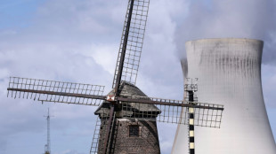 Nucl&eacute;aire: la Belgique, en plein doute, ferme son premier r&eacute;acteur