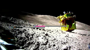 El m&oacute;dulo espacial japon&eacute;s SLIM sobrevive a una segunda noche lunar