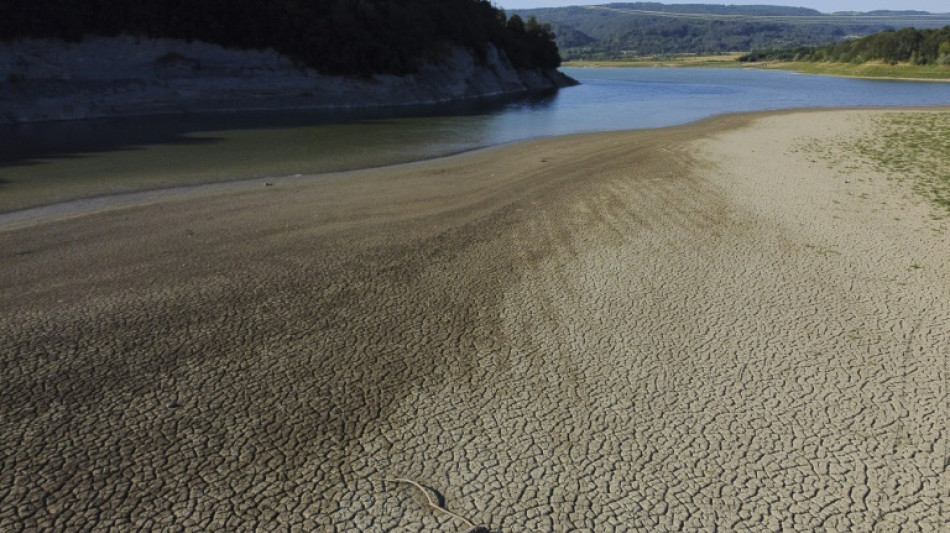 Sécheresse: plus de la moitié de l'Europe et du pourtour méditerranéen affectés depuis avril