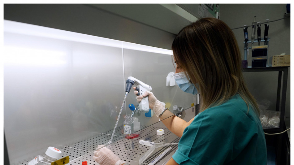 Dai nanomateriali la nuova arma contro l'antibiotico-resistenza