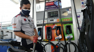 La AIE teme un fuerte "impacto" de la guerra de Ucrania en el suministro de petr&oacute;leo