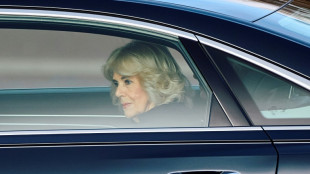 La reina Camila revela que padeci&oacute; una neumon&iacute;a