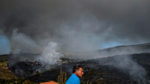 Waldbrand in Portugal w&uuml;tet weiter - Heftige Gewitter in Frankreich