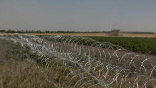 &iquest;Por qu&eacute; son importantes las fortificaciones ucranianas en la regi&oacute;n oriental del Donb&aacute;s?