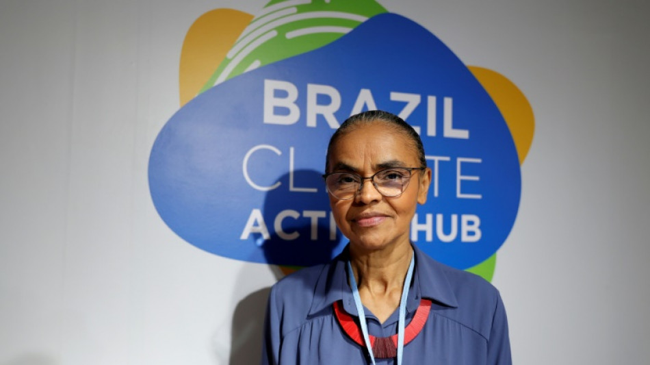 Brasil proteger&aacute; la Amazonia con o sin financiaci&oacute;n internacional, asegura Marina Silva