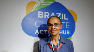 Brasil proteger&aacute; la Amazonia con o sin financiaci&oacute;n internacional, asegura Marina Silva