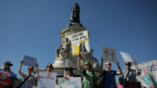 Las ventas de Tesla en la UE se reducen a la mitad en abril frente al progreso de marcas chinas
