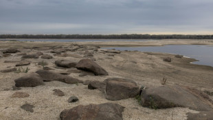 Investigadores ucranianos avaliam primeiro ecoc&iacute;dio atribu&iacute;do ao Ex&eacute;rcito russo
