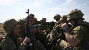 Ukraine: une offensive dans le sud, Zelensky salue "l'h&eacute;ro&iuml;sme" des troupes