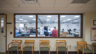 Quand une "arm&eacute;e" d'observateurs pro-Trump menace les &eacute;lections de mi-mandat