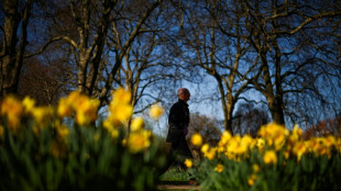 Reino Unido registra en 2025 su primavera más soleada