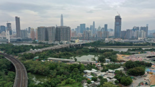 A Hong Kong, un plan g&eacute;ant de d&eacute;veloppement urbain grignote villages et marais