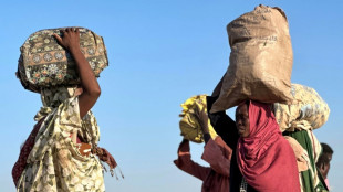 Sudanesische RSF-Miliz verk&uuml;ndet Festnahme von K&auml;mpfern nach Gewalttaten