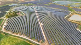 Enel compra 7 centrali solari negli Usa per 140 milioni di dollari